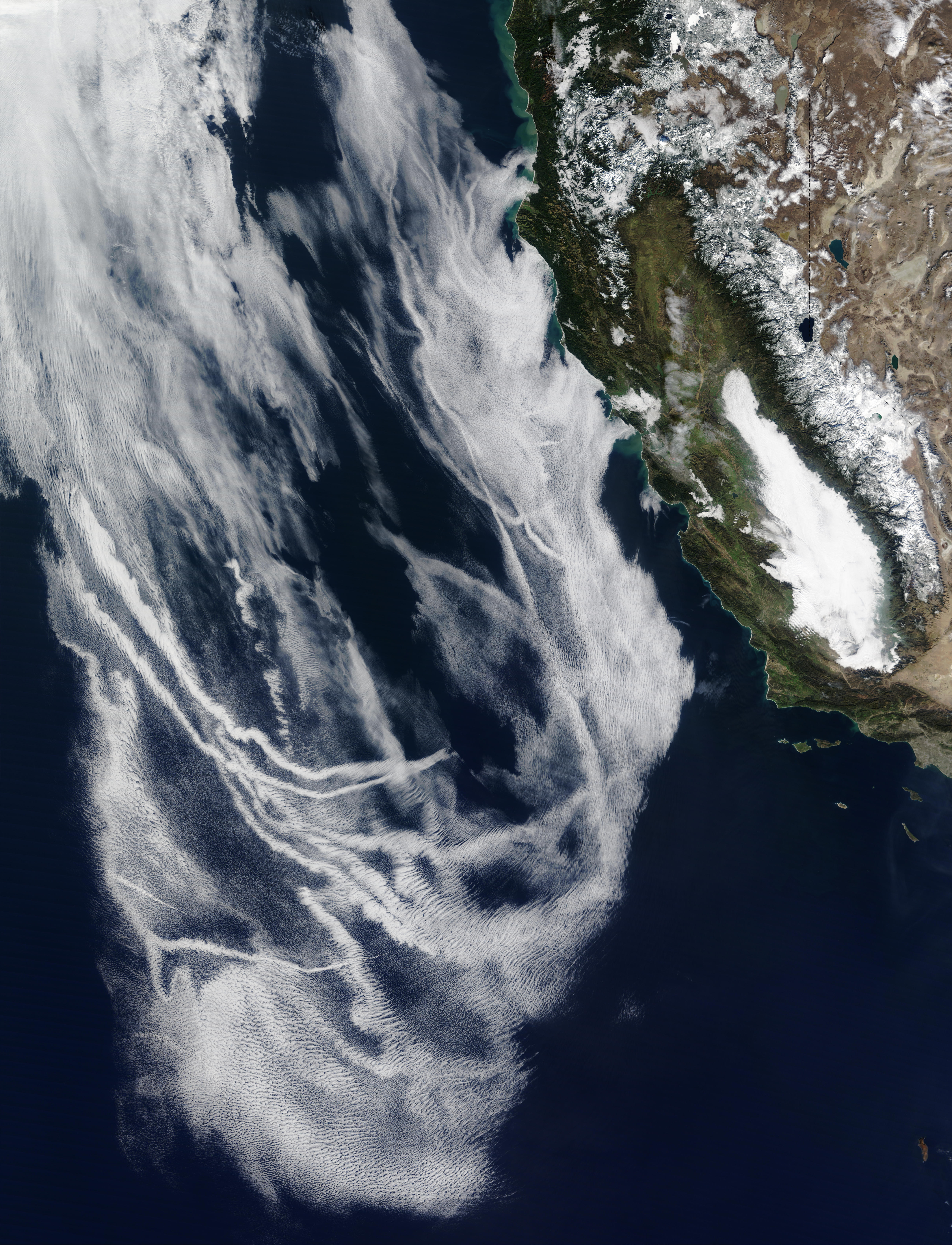 Ship tracks off California - related image preview