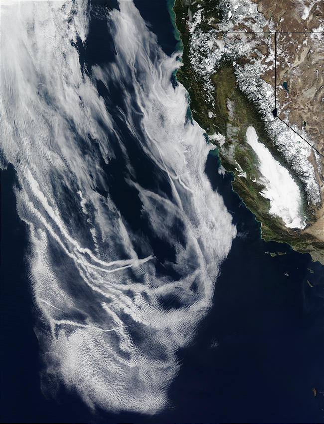 Ship tracks off California - related image preview