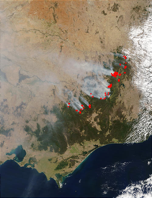 Fires and smoke in Southeast Australia - related image preview