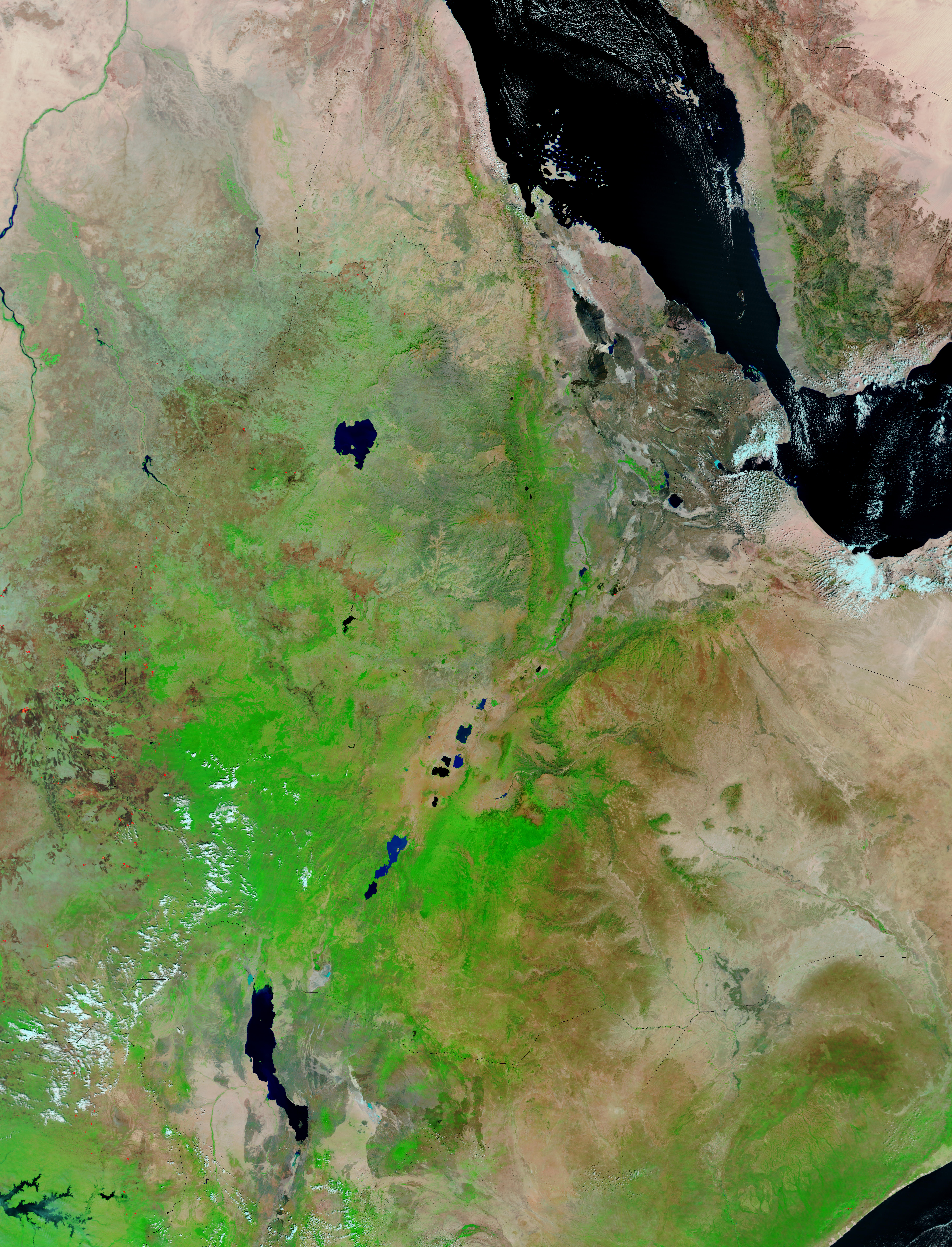 Eastern Africa (false color) - related image preview