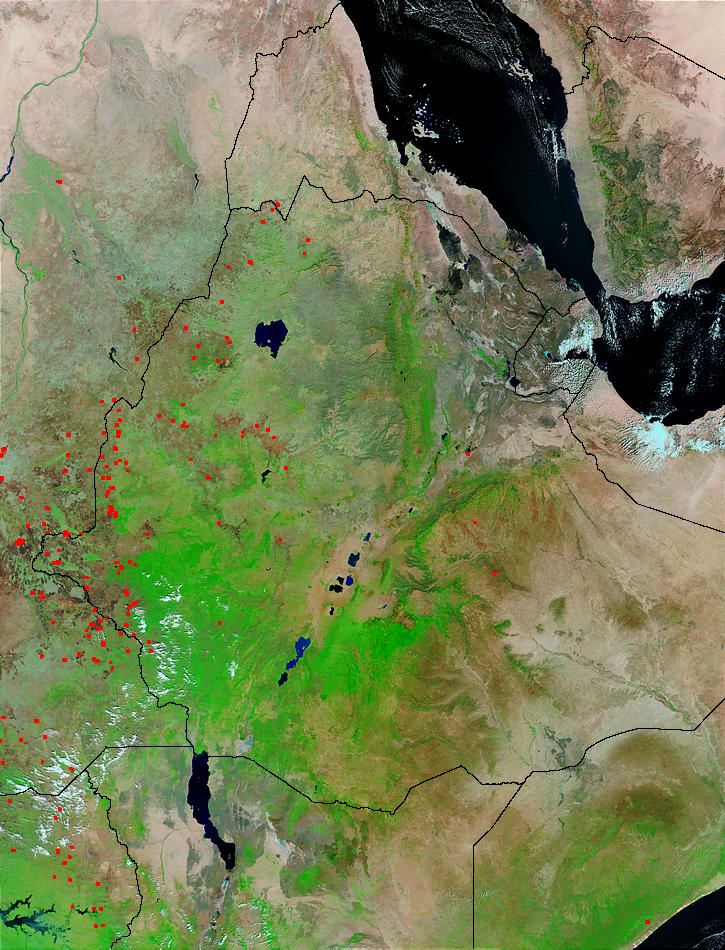 Eastern Africa (false color) - related image preview