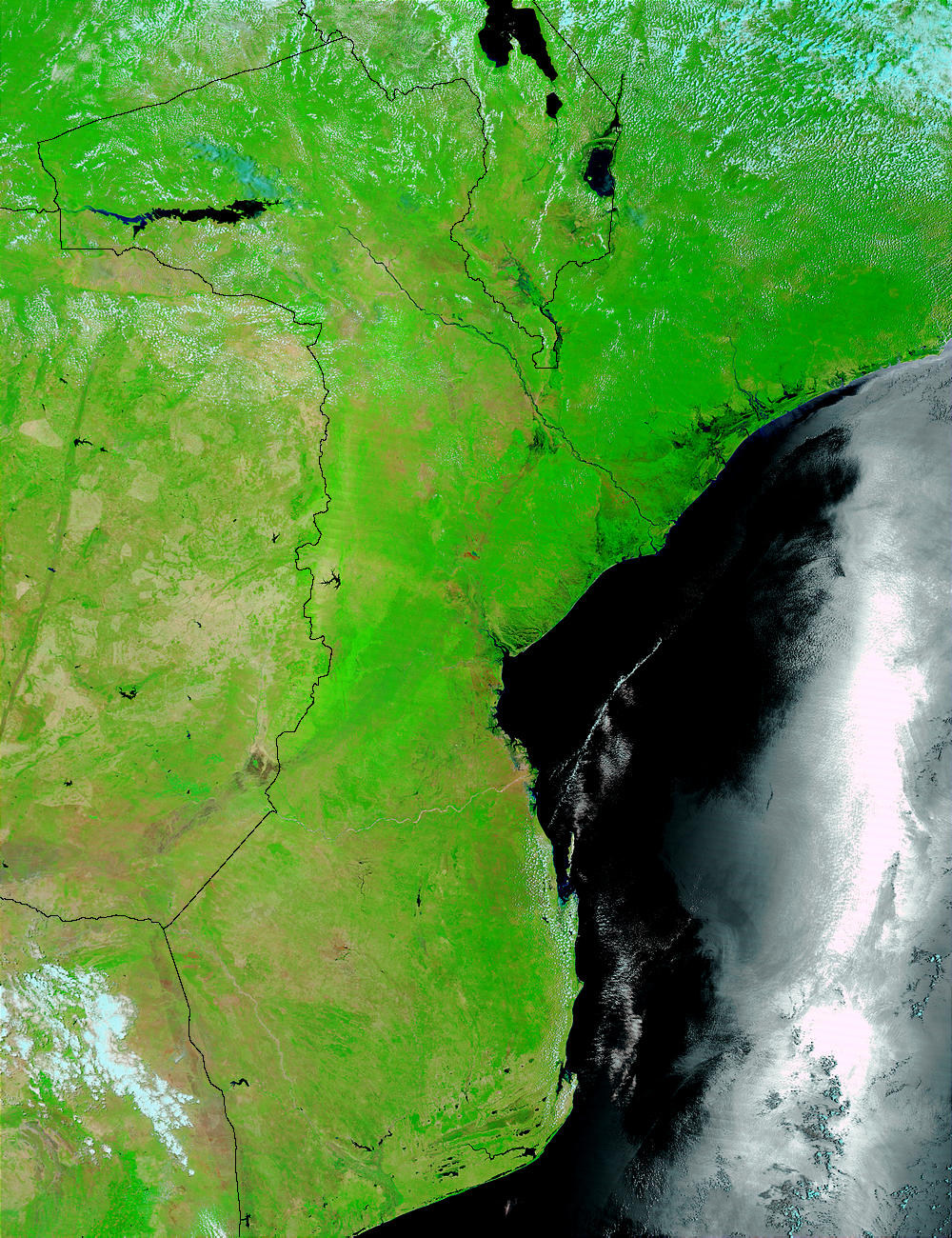 Floods in Mozambique and Malawi (false color) - related image preview