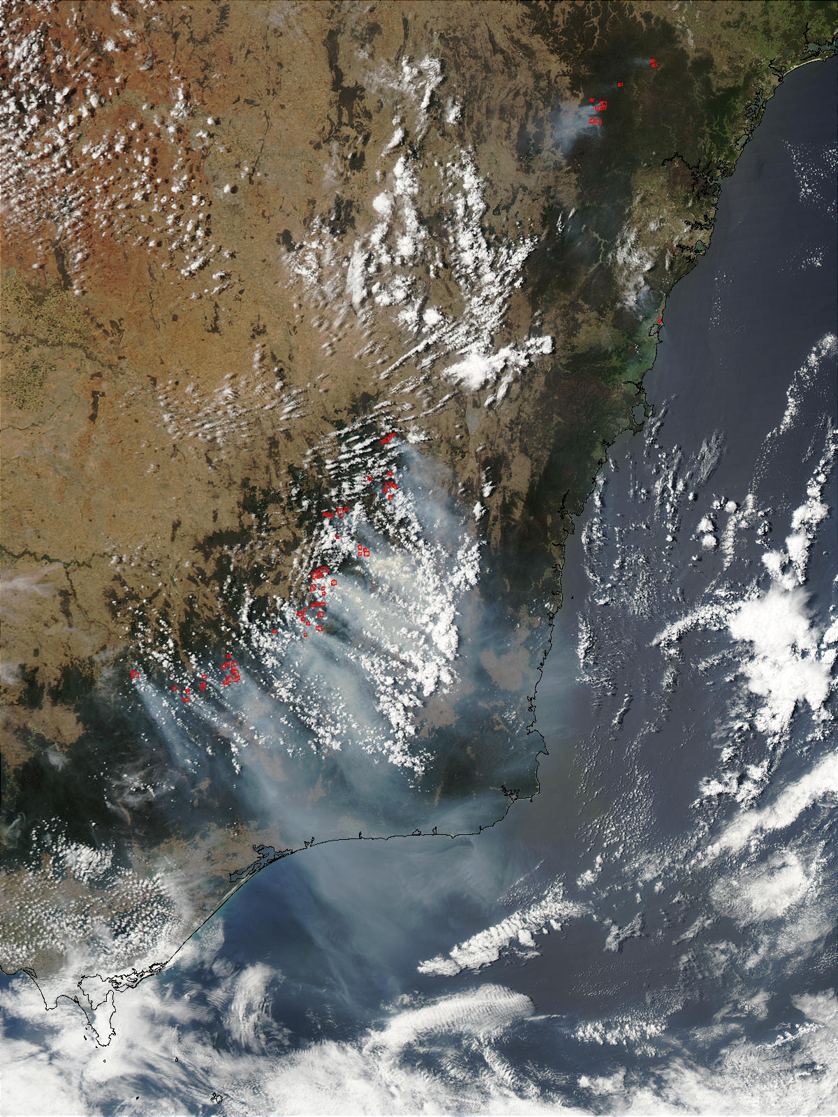 Fires in Southeast Australia - related image preview