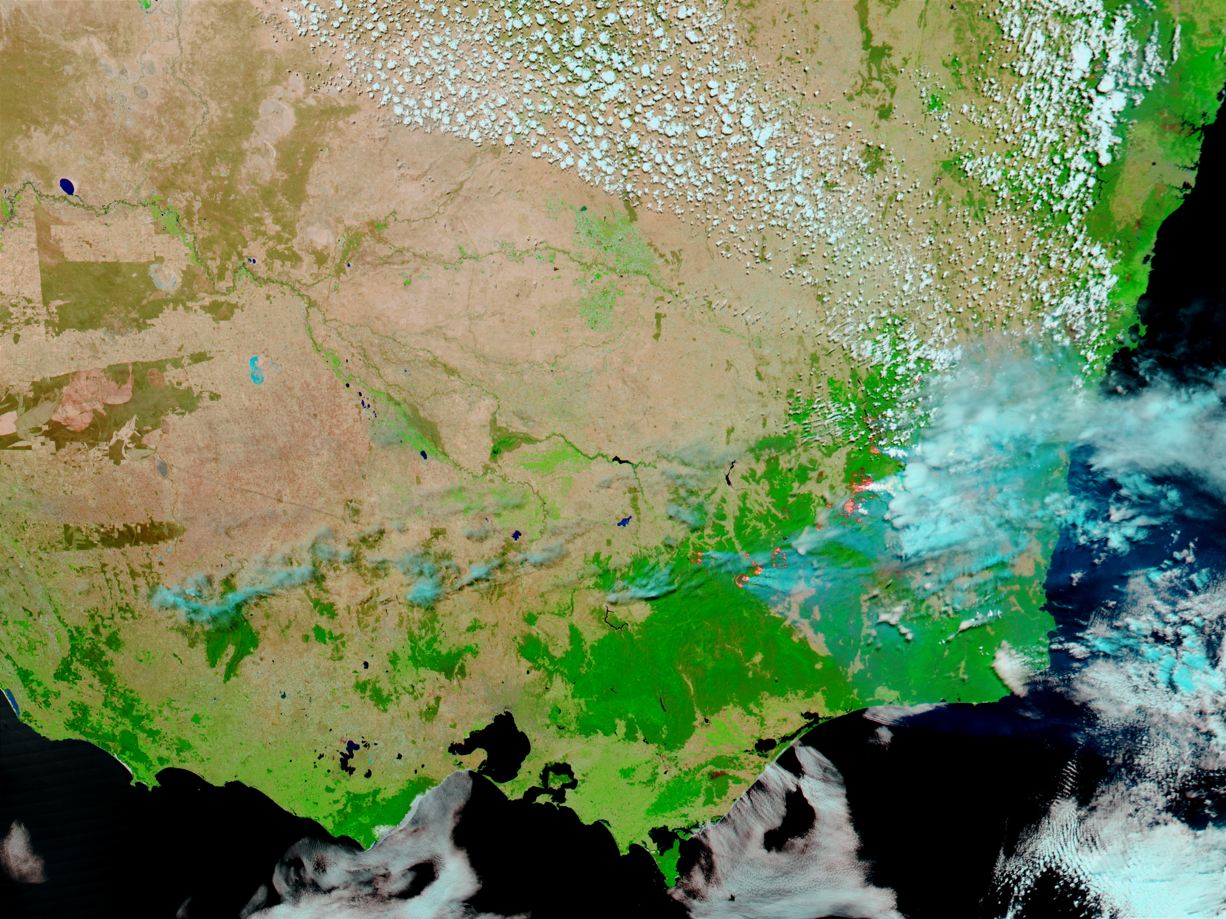 Fires and smoke in Southeast Australia (afternoon overpass, false color)