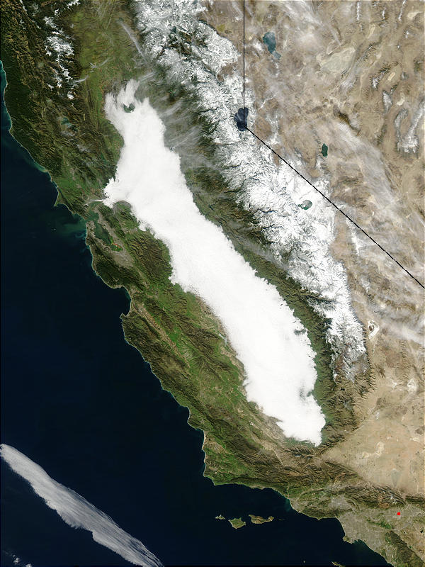 Fog in California - related image preview