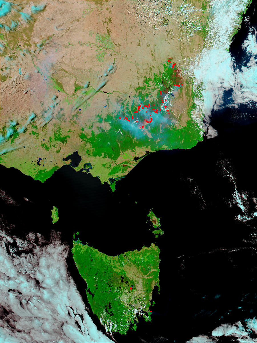 Fires And Smoke In Southeast Australia And Tasmania (false Color)