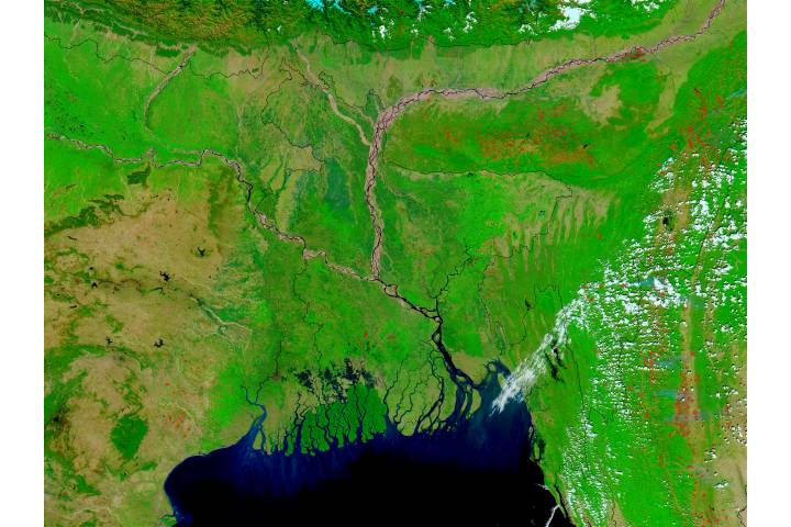 Bangladesh and Northeast India (false color)