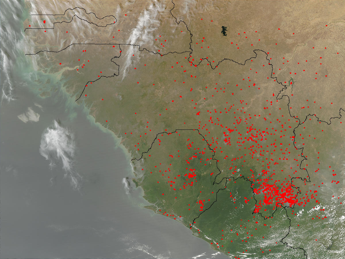 Fires in West Africa - related image preview