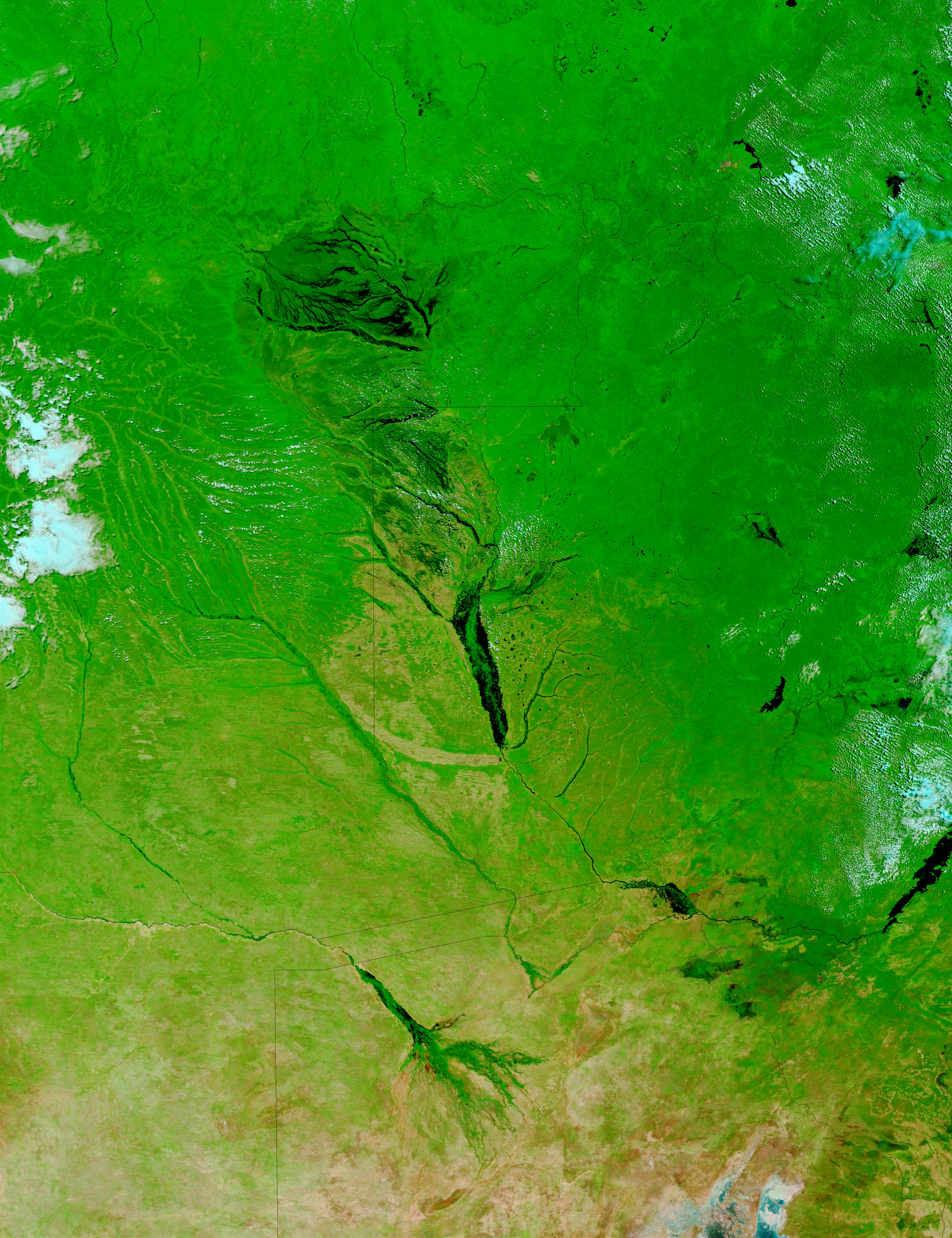 Floods in Zambia and Angola (false color) - related image preview