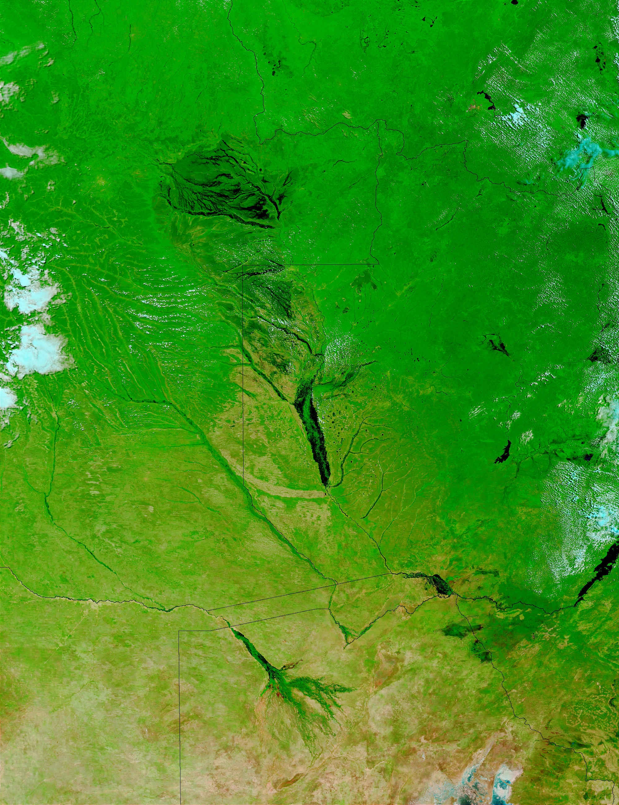 Floods in Zambia and Angola (false color) - related image preview