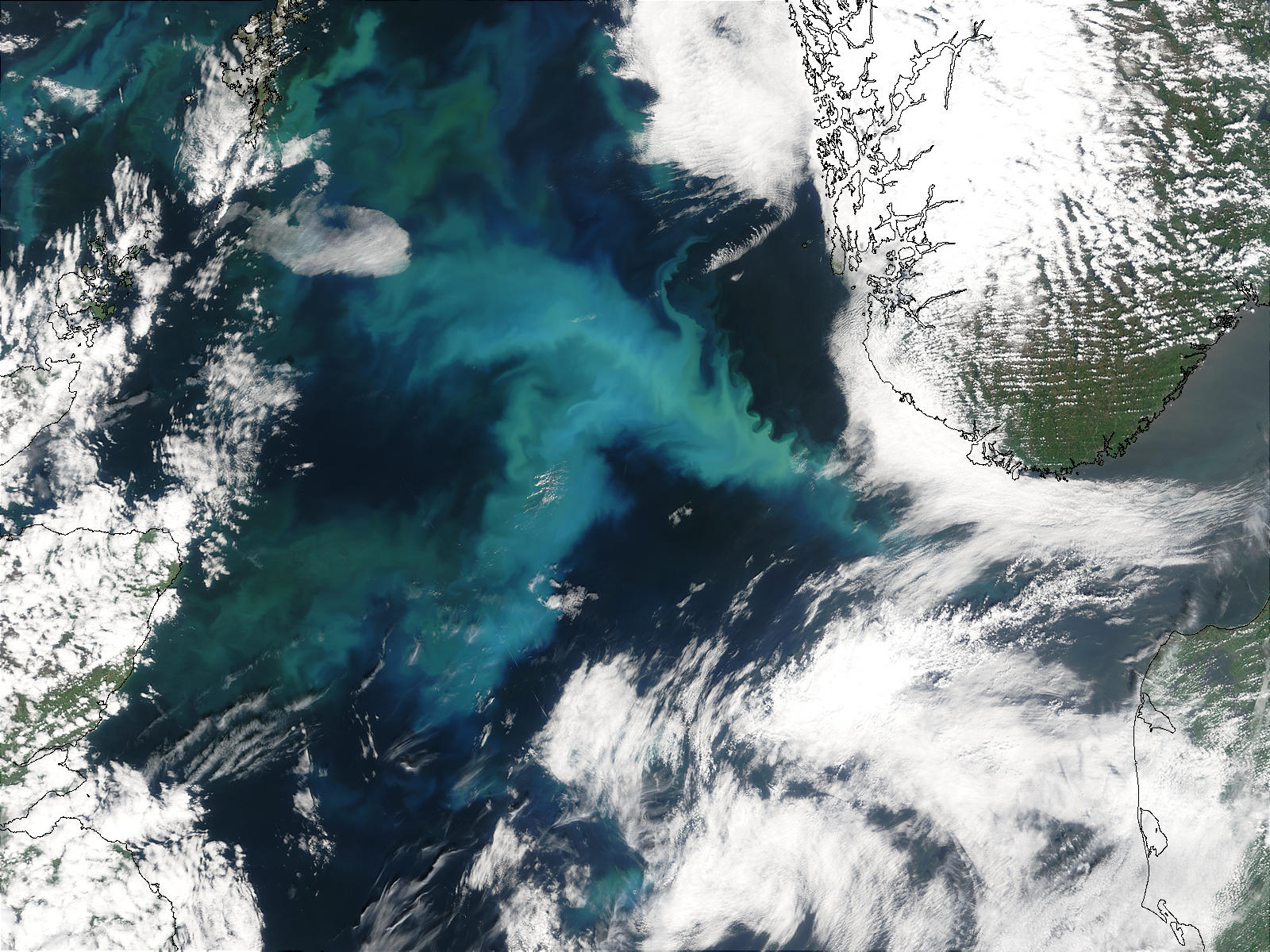 Phytoplankton bloom in the North Sea - related image preview