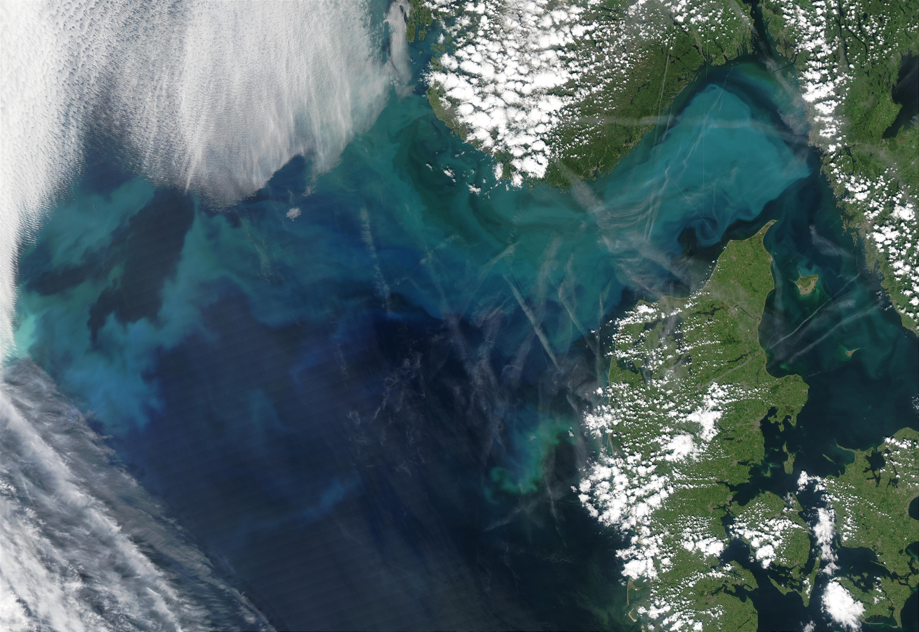 Phytoplankton bloom in the North Sea and the Skagerrak - related image preview
