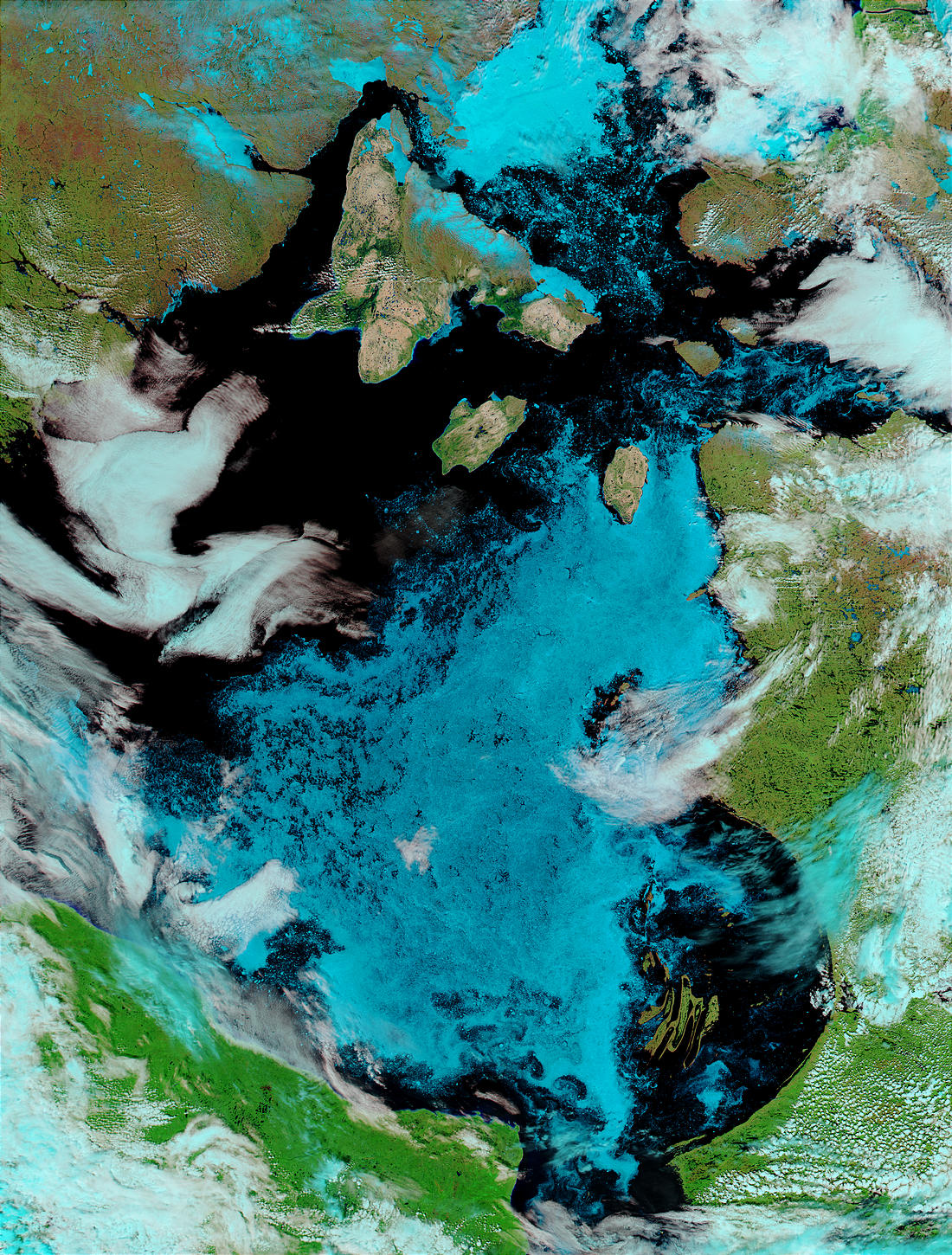 Melting ice across Hudson Bay, Canada (false color) - related image preview