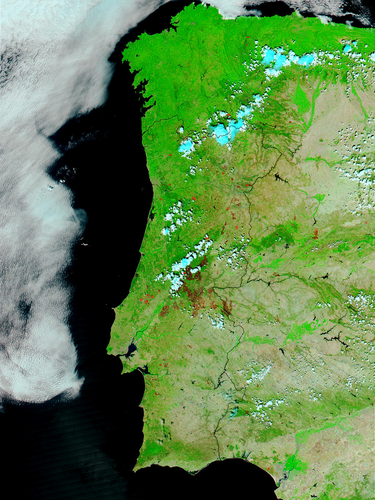 Fires and burn scars across Portugal (false color) - related image preview