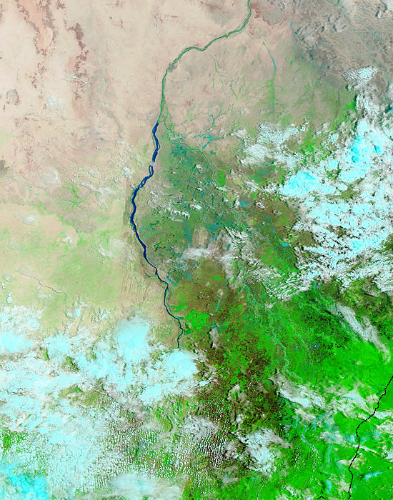 Flooding along the White Nile, Sudan (false color) - related image preview