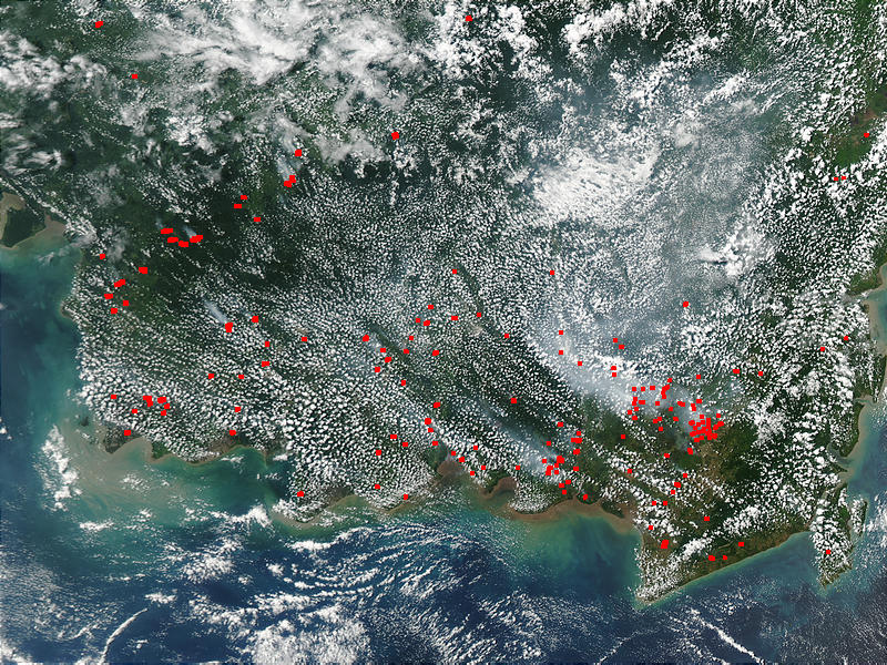 Fires and smoke in southern Borneo - related image preview