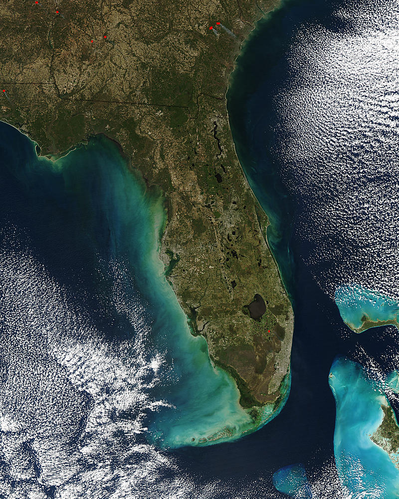 Turbid waters off Florida - related image preview