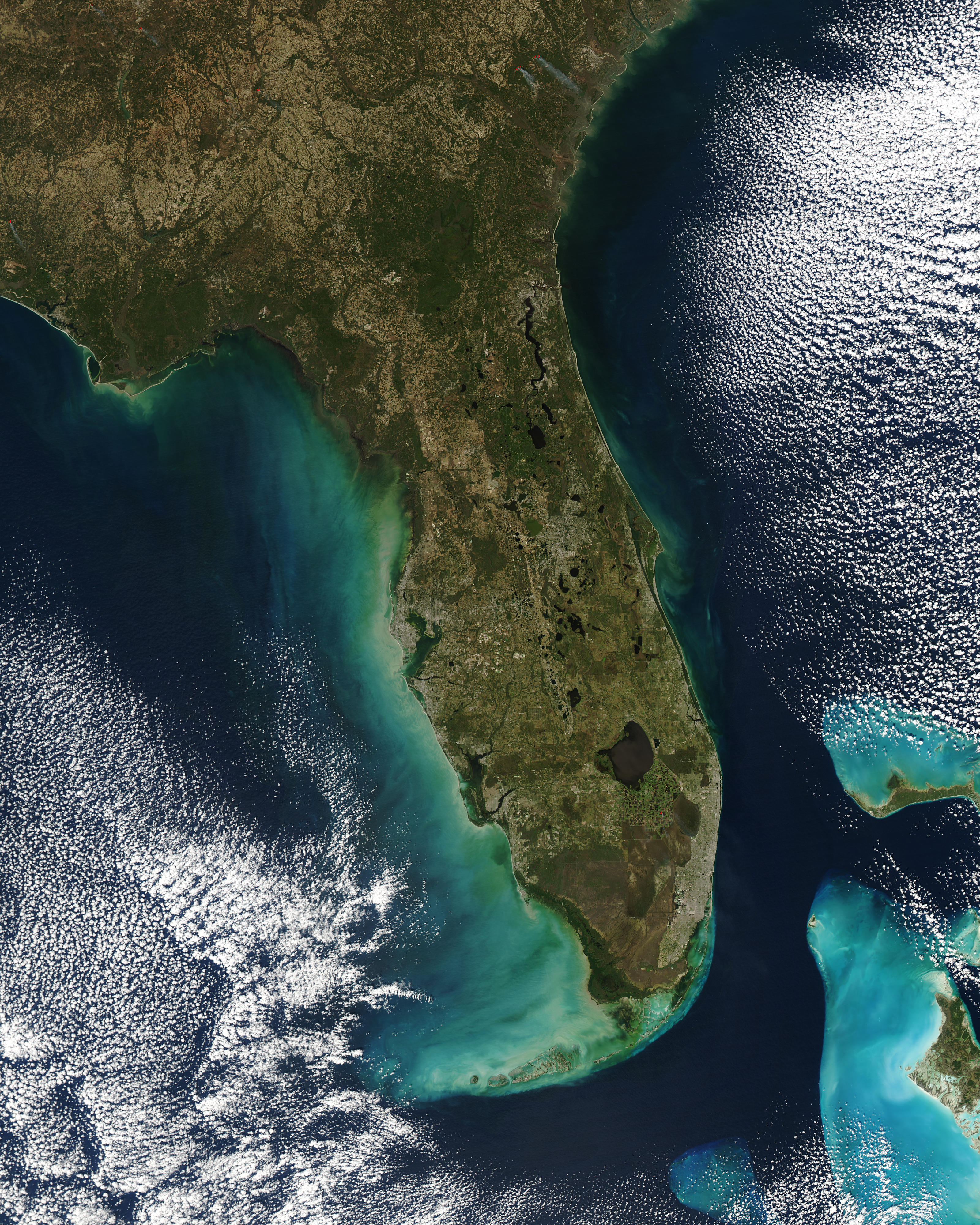 Turbid waters off Florida - related image preview