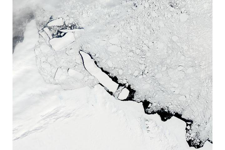 C-19 icebergs trapped in sea ice off Mawson Peninsula, Antarctica