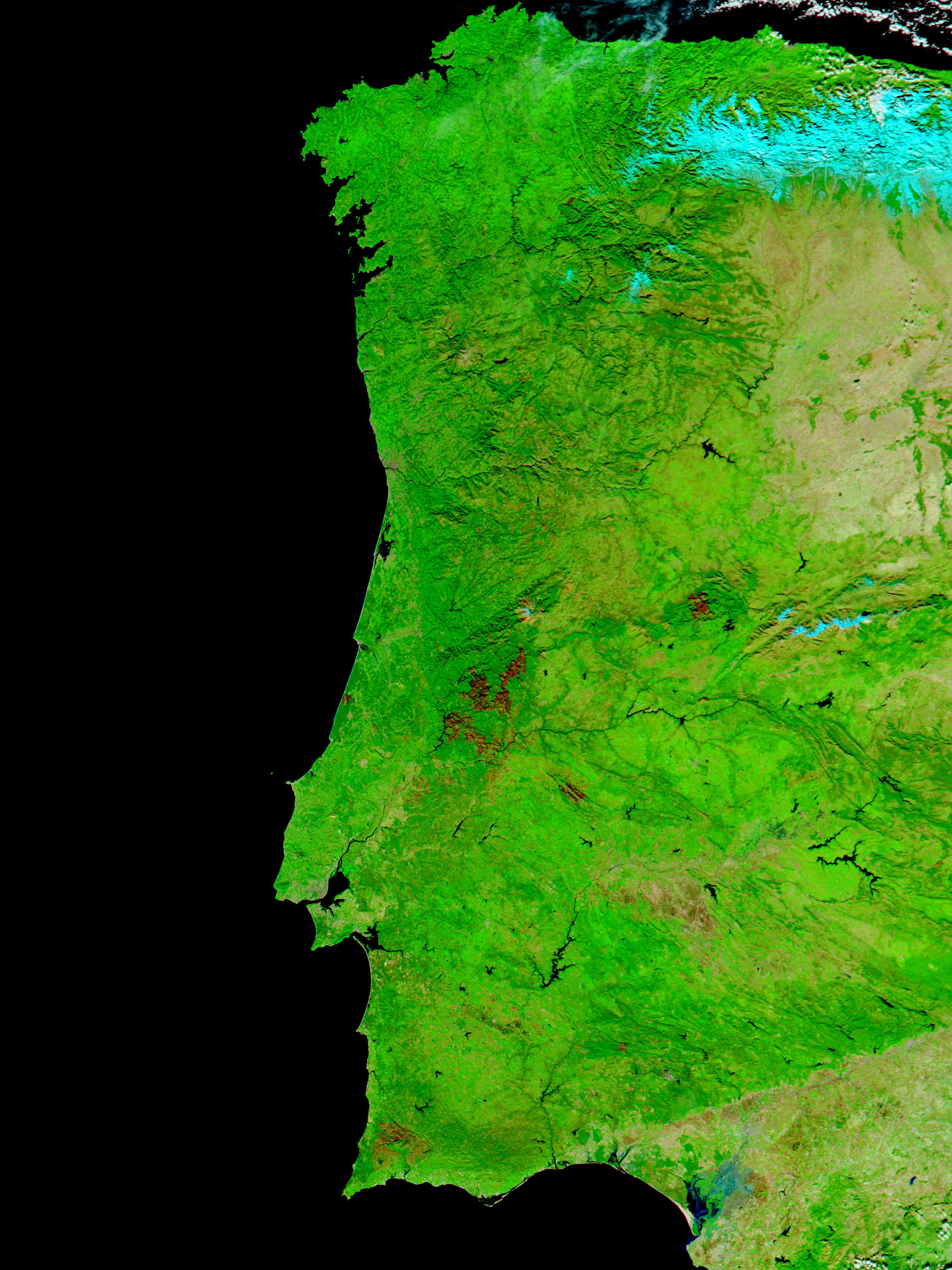 Burn scars from summer 2003 fires in Portugal and Spain (false color) - related image preview