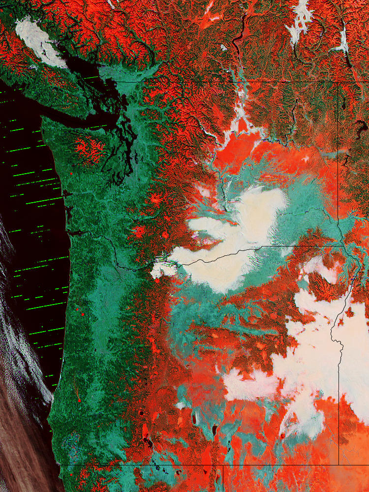 Fog and snow in the Pacific Northwest (false color) - related image preview