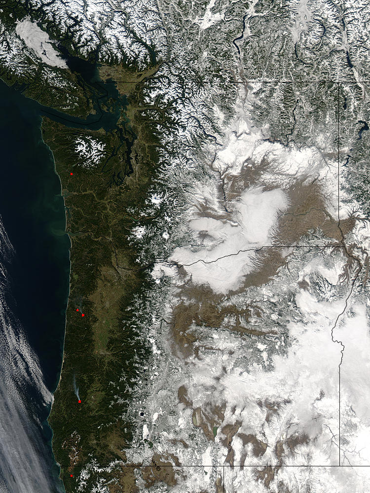 Fog and snow in the Pacific Northwest (true color) - related image preview