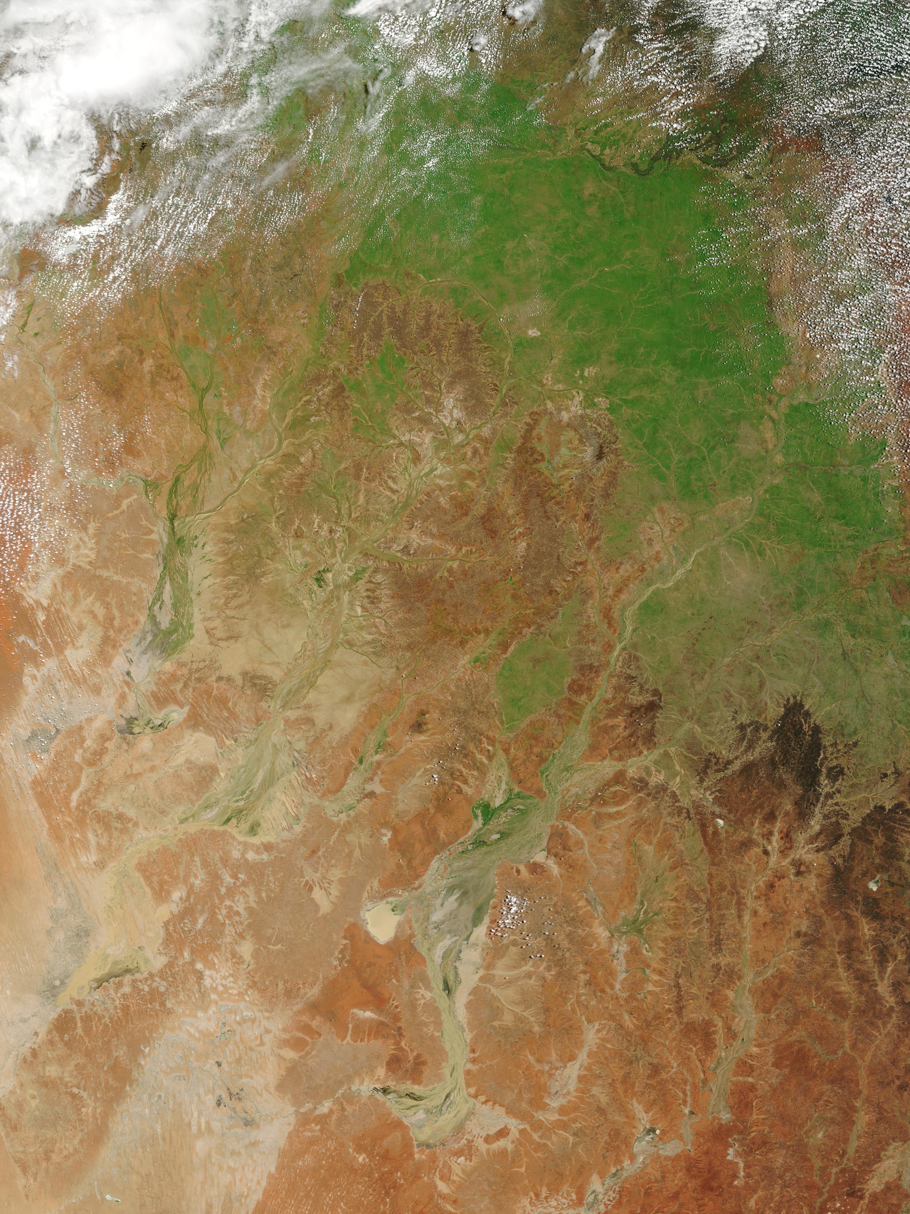 Floods and green-up in Queensland, Australia - related image preview