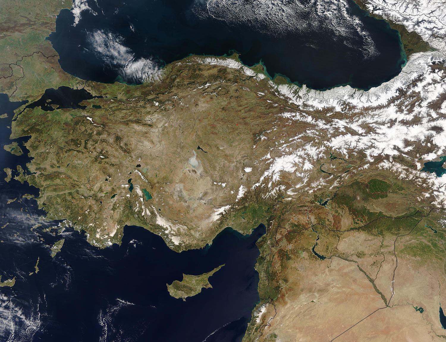 Turkey - related image preview