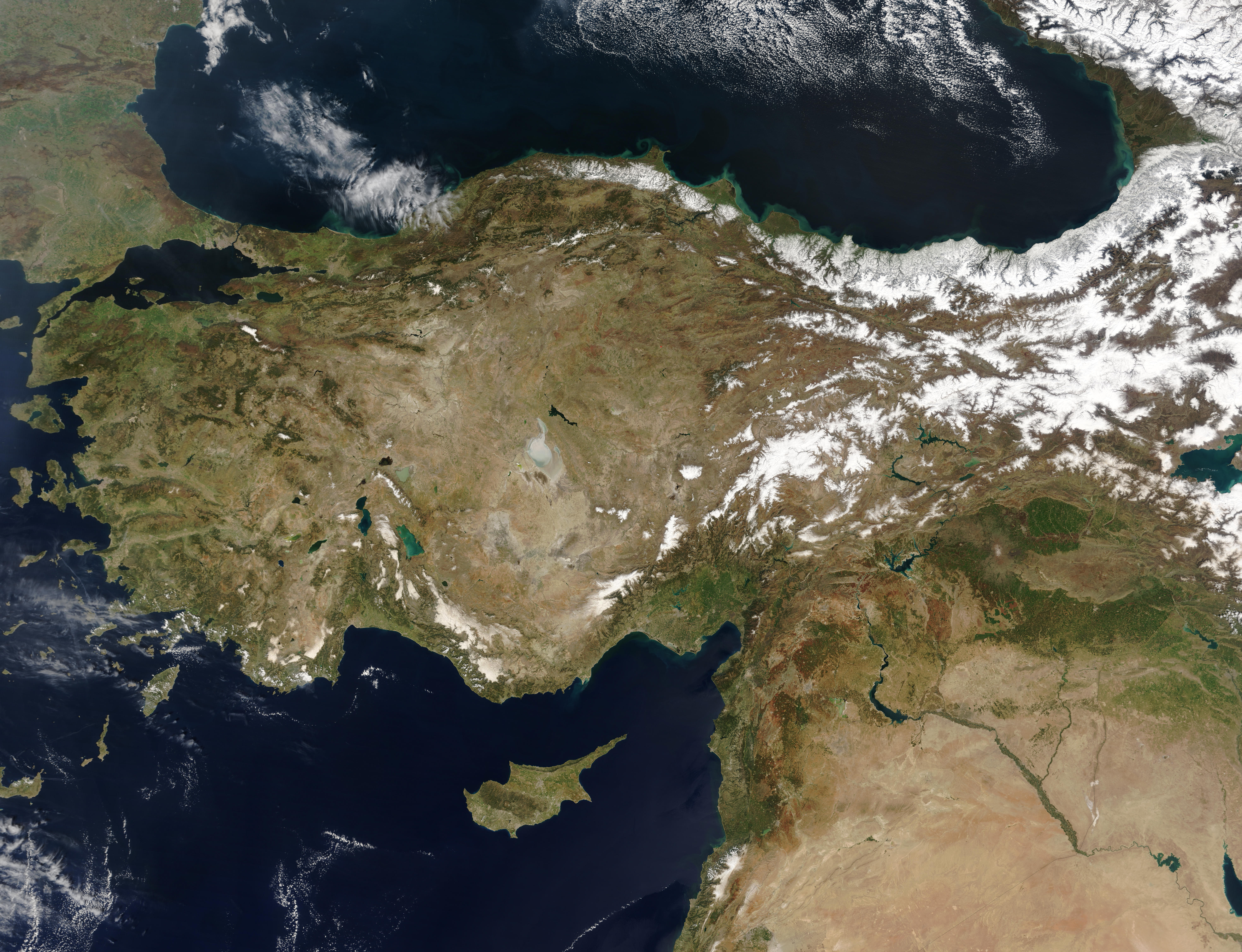 Turkey - related image preview