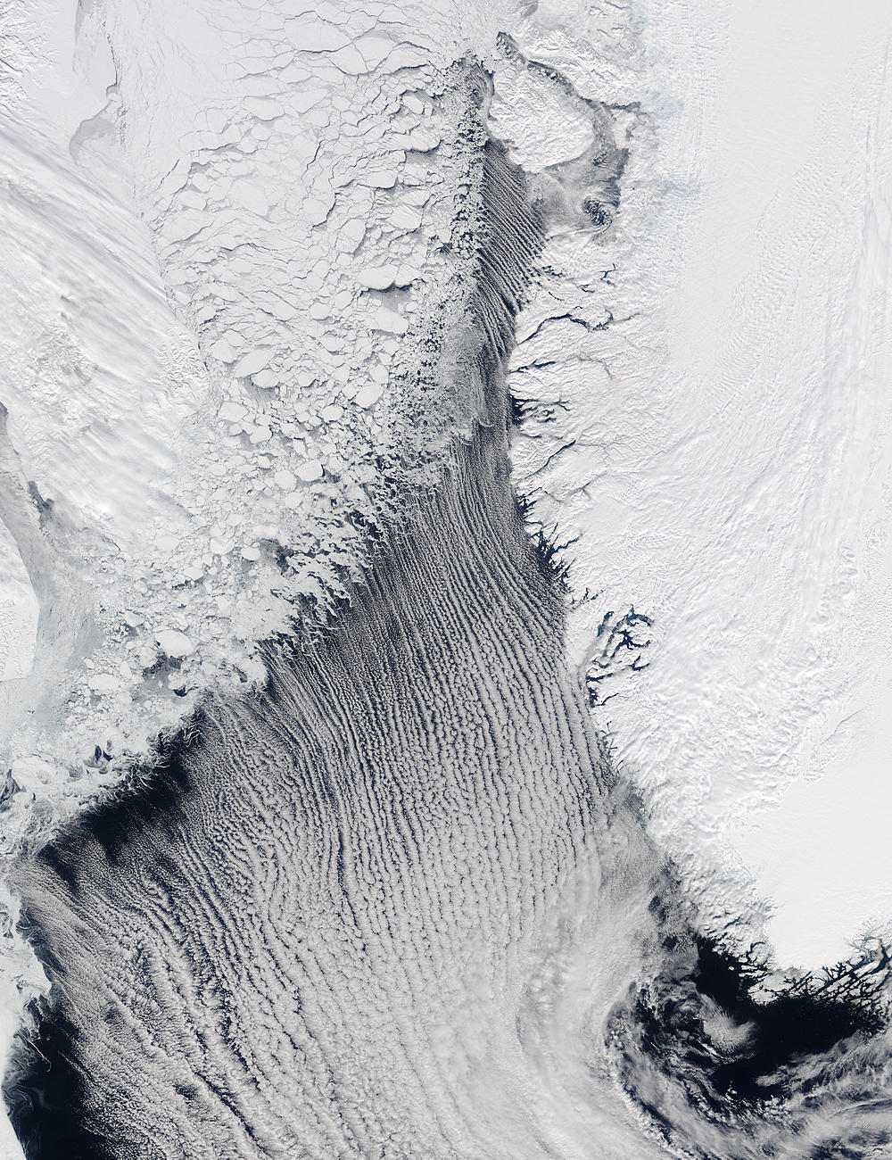 Cloud streets in the Labrador Sea - related image preview