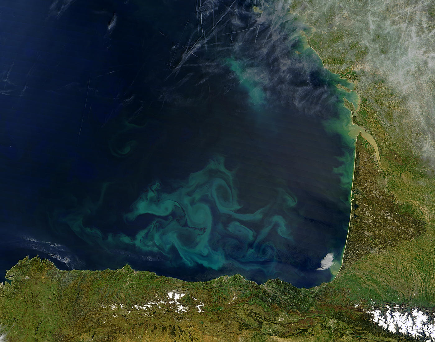 Phytoplankton bloom in the Bay of Biscay - related image preview 