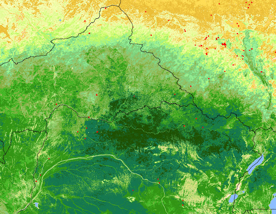 Normalized Difference Vegetation Index (NDVI) image of Central Africa - related image preview