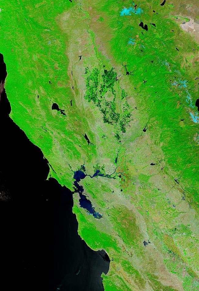 San Joaquin-Sacramento River Delta, California (before levee break, false color) - related image preview