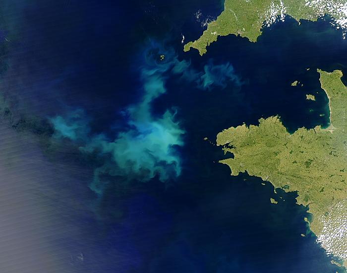 Coccolithophore bloom off Brittany, France - related image preview