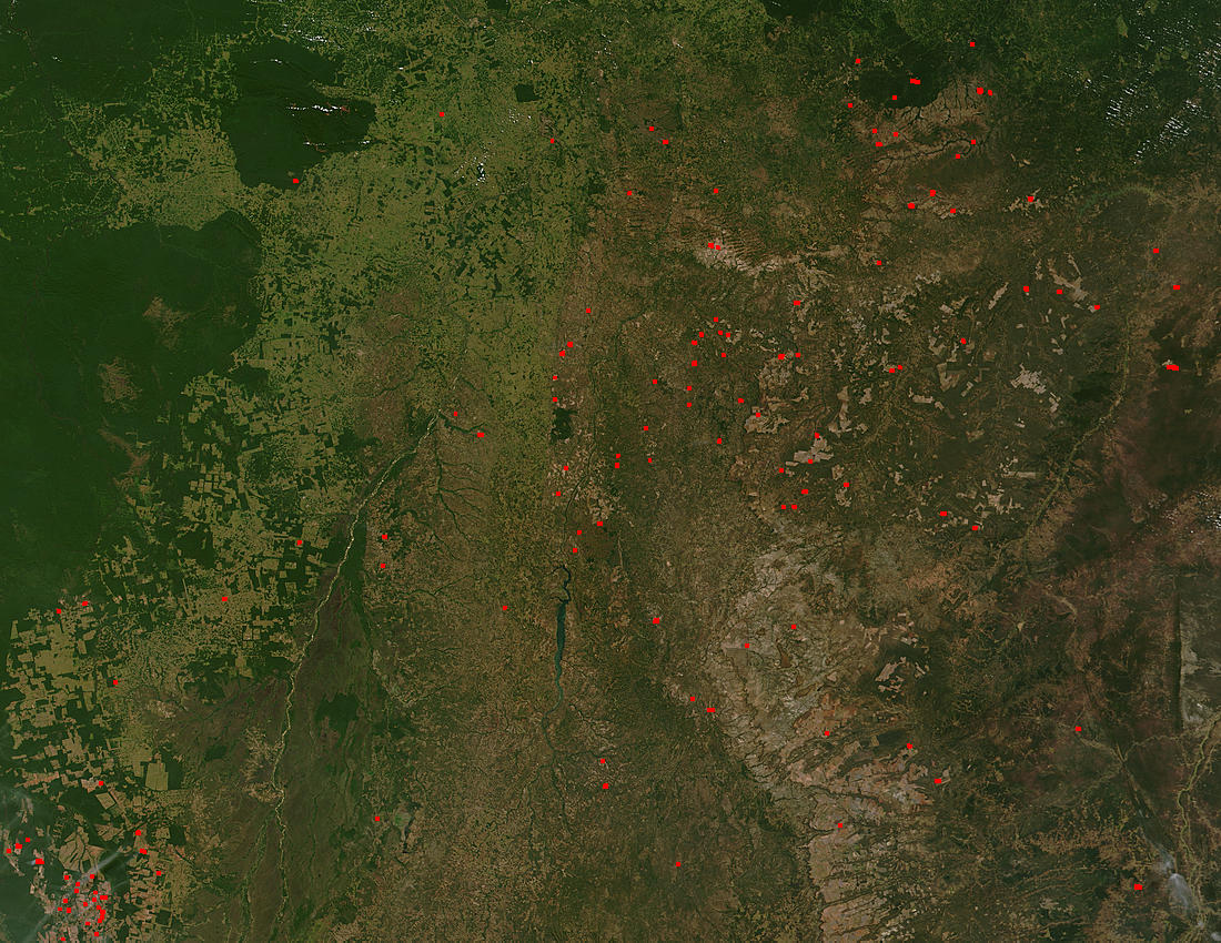 Cerrado savannas of eastern Brazil - related image preview