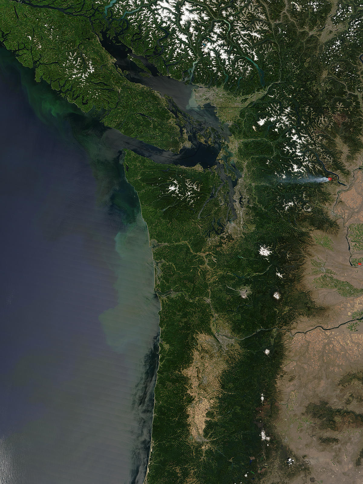 Phytoplankton bloom off the Pacific Northwest - related image preview