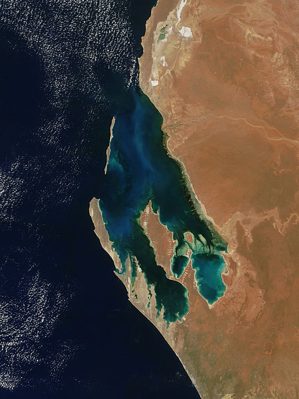 Phytoplankton bloom in Shark Bay, Western Australia - related image preview