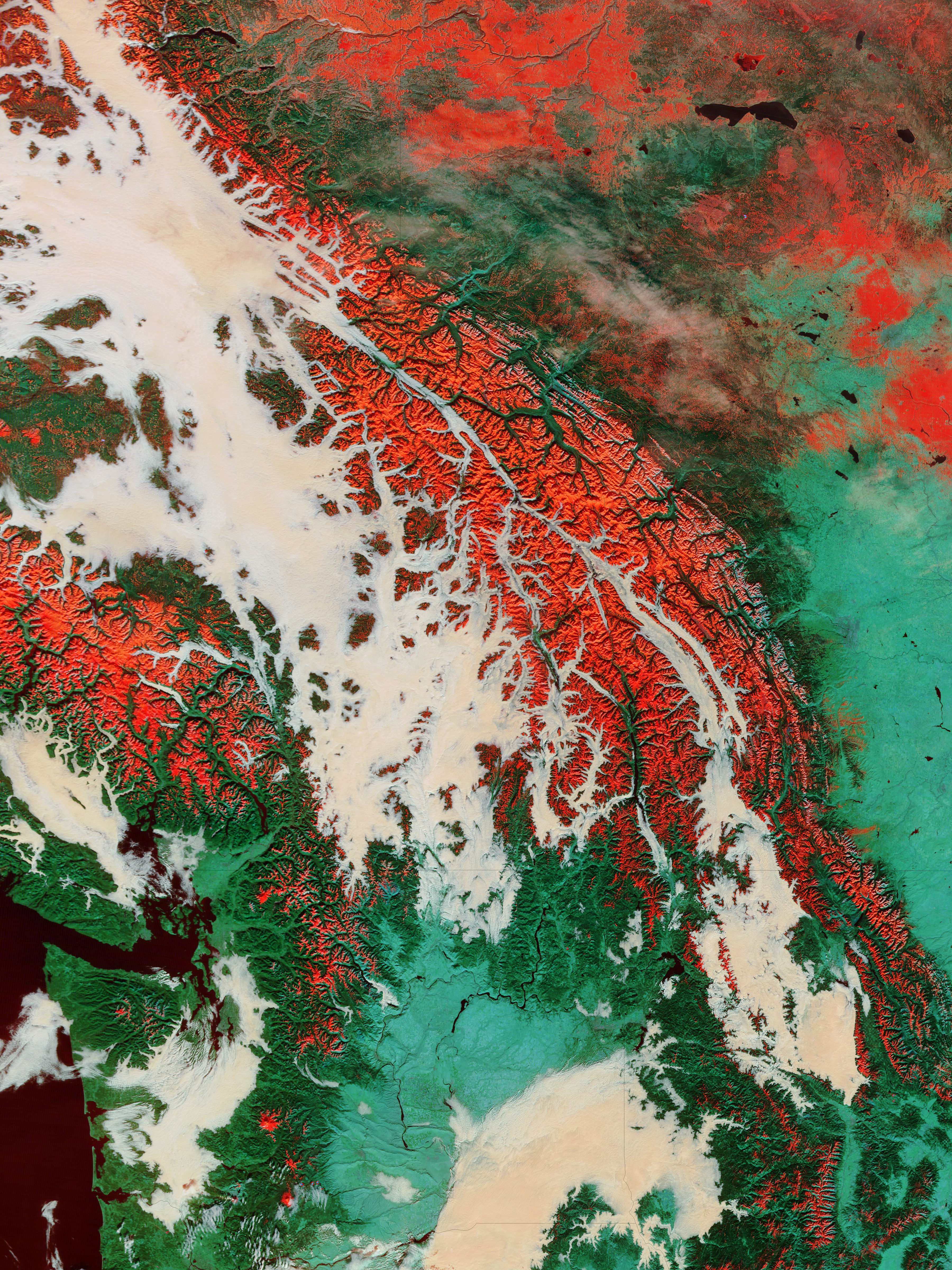 Fog and snow in the Pacific Northwest (false color) - related image preview
