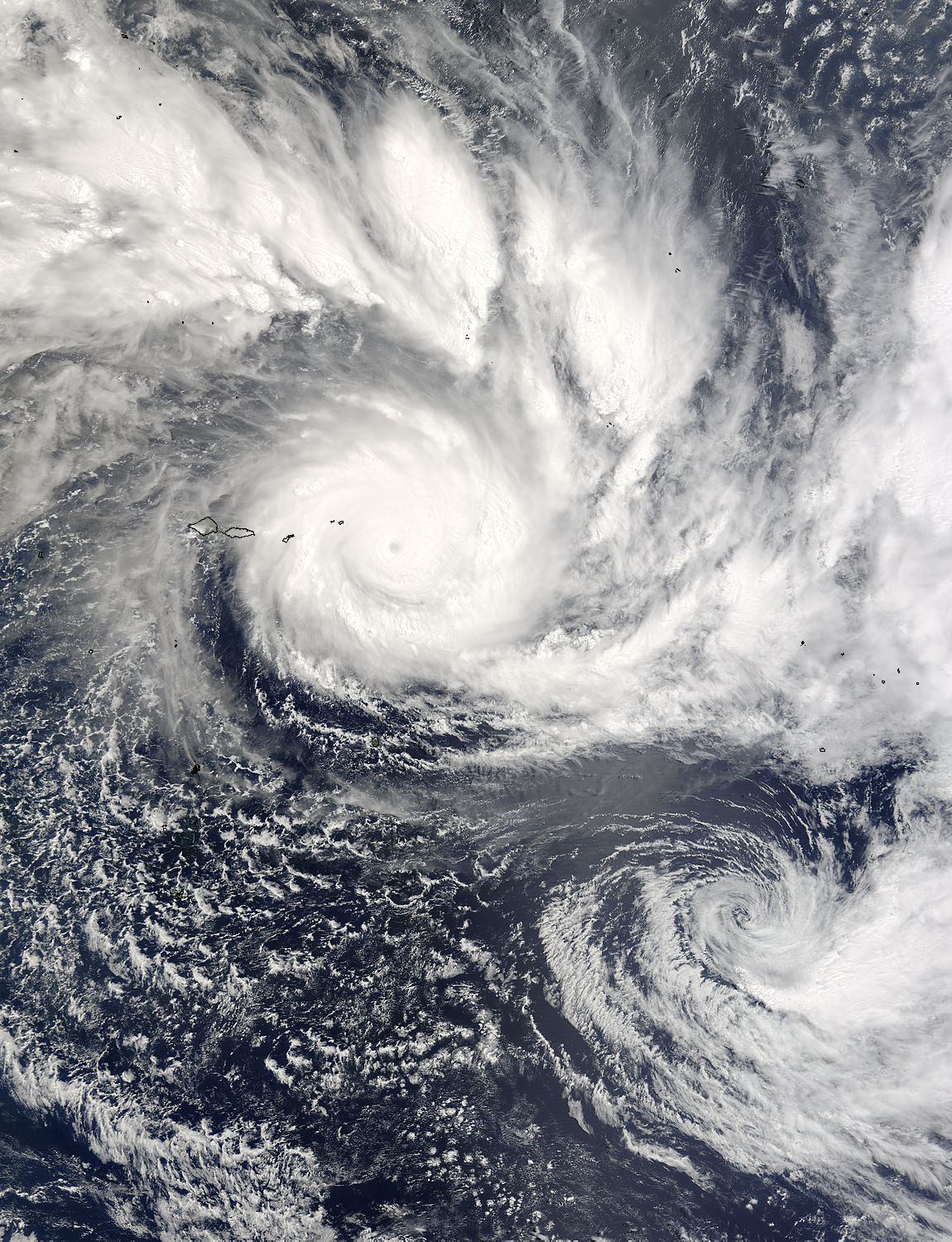 Cyclones Olaf and Nancy in the South Pacific - related image preview