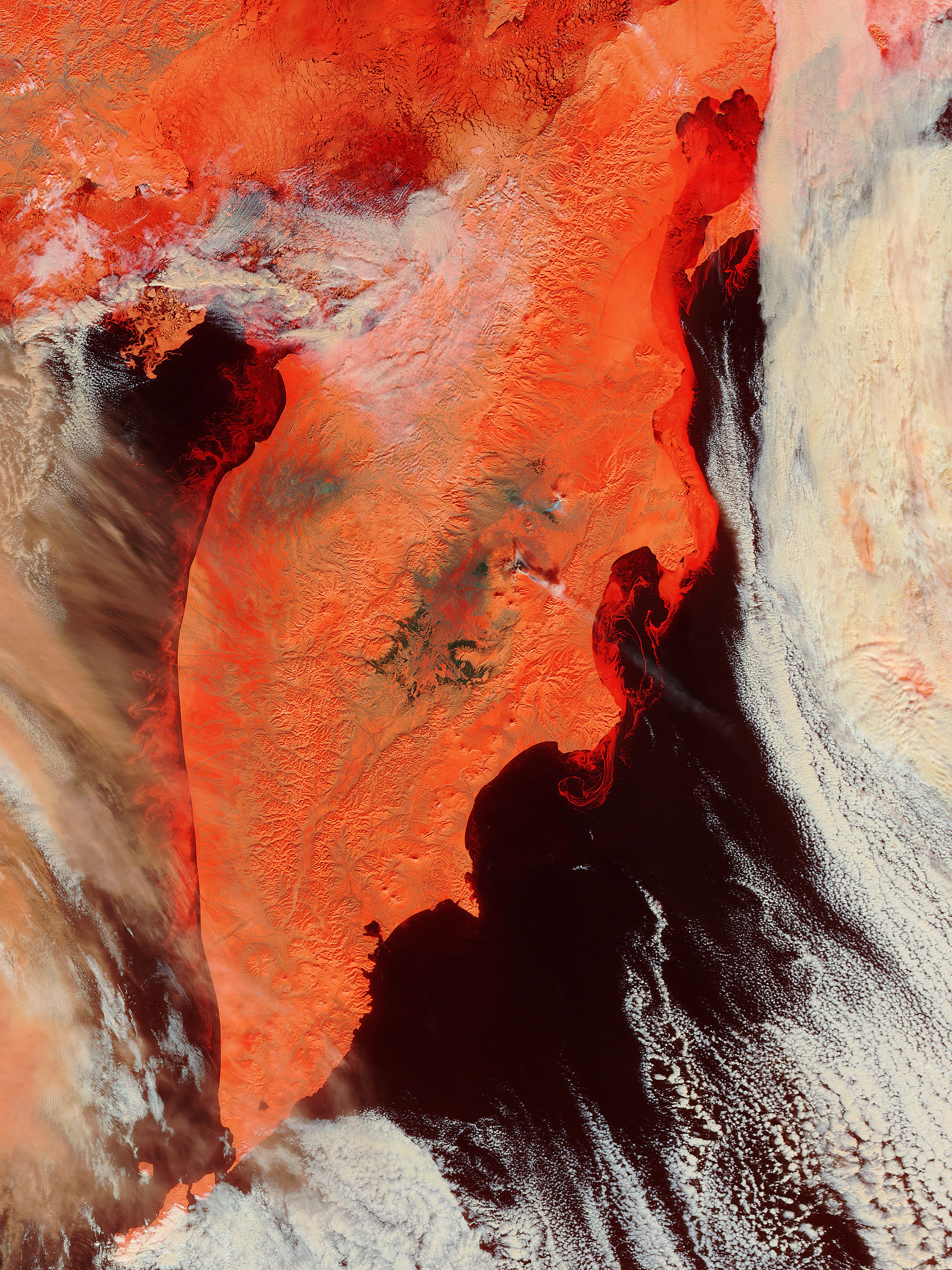 Kamchatka Peninsula, Eastern Russia (false color) - related image preview