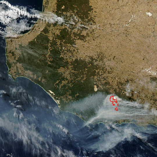 Forest Fire in Southwest Australia - related image preview