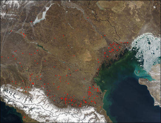 Fires in Volga River Delta and Southwest Russia