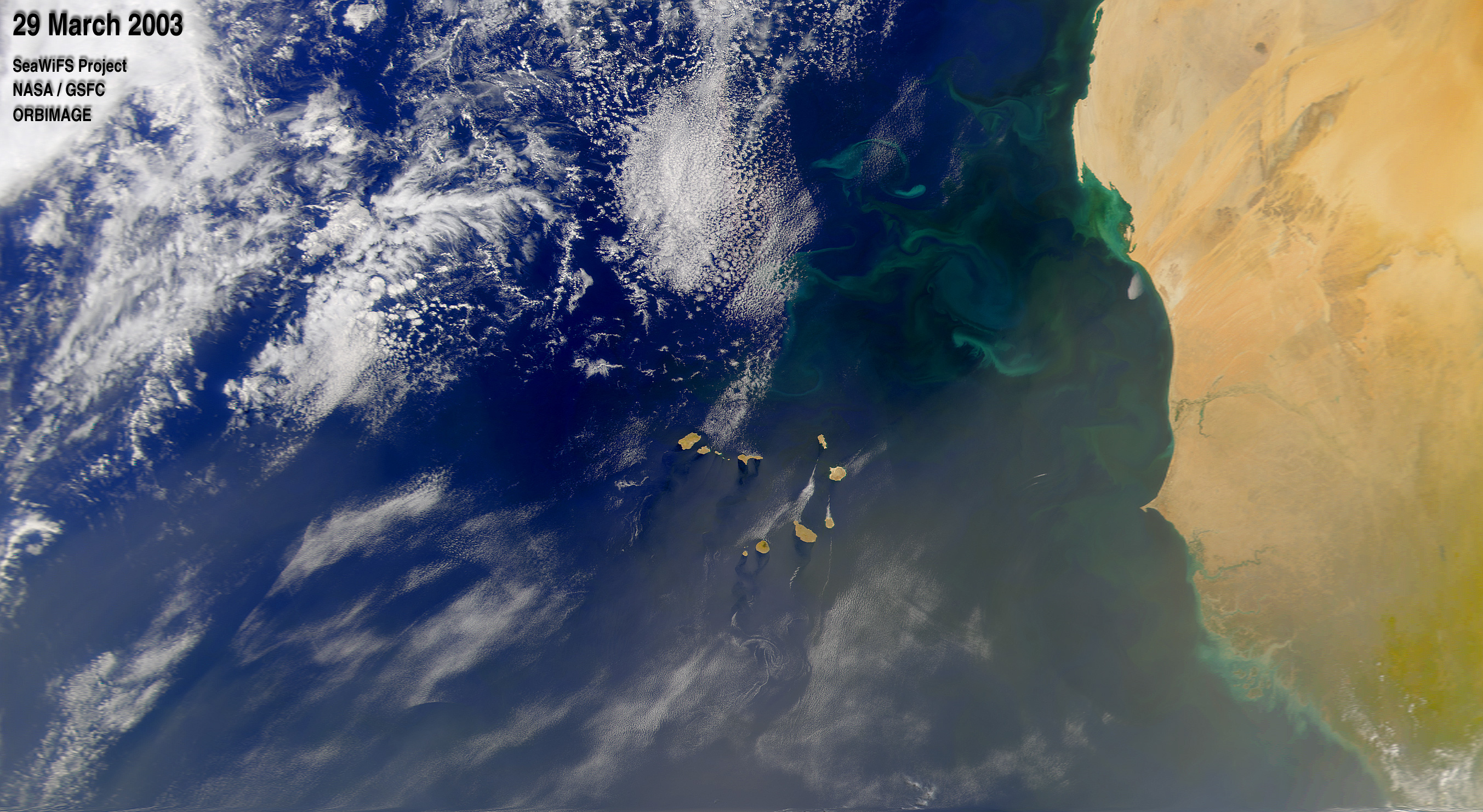 Phytoplankton Bloom off West Africa - related image preview