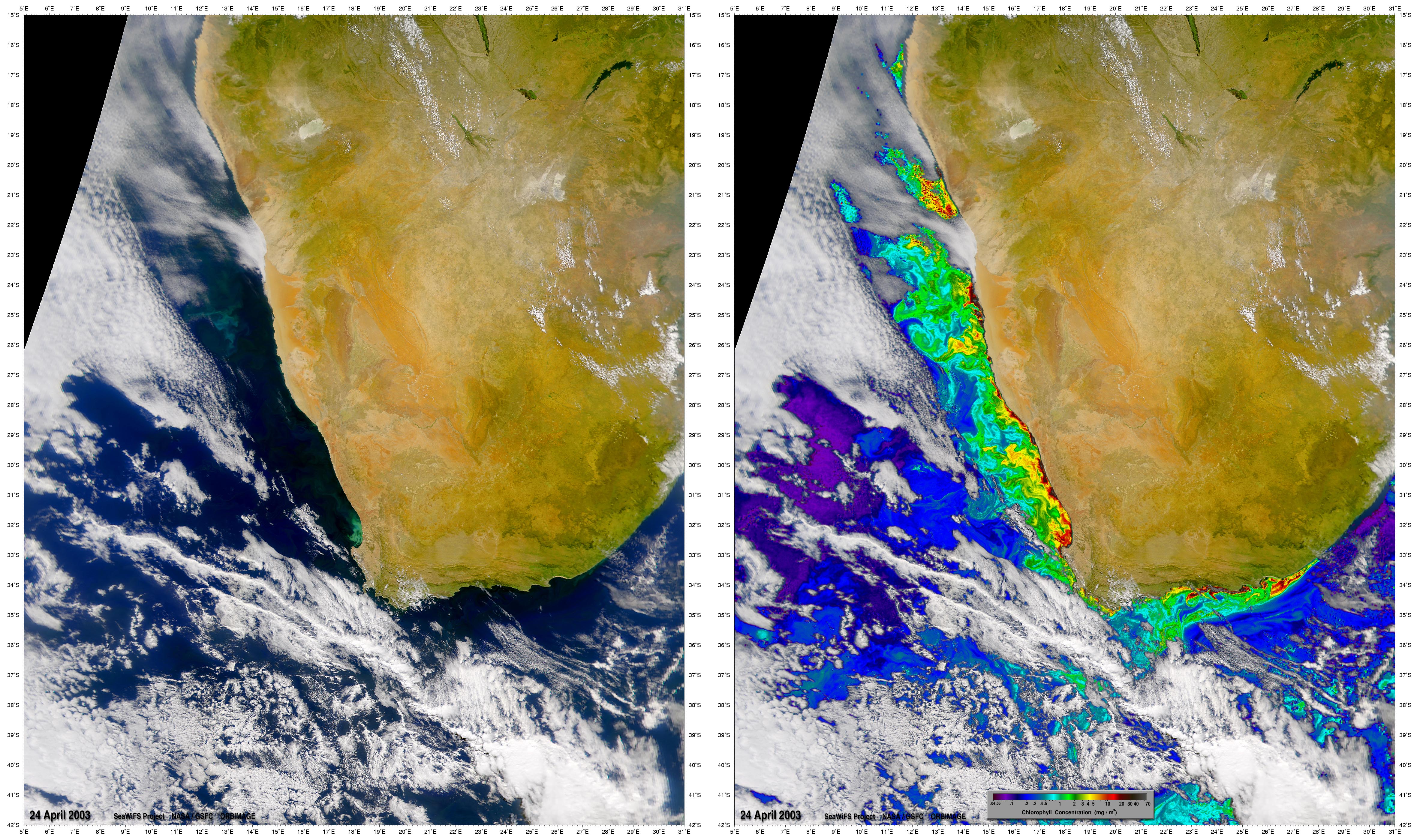 Phytoplankton off South African Coast - related image preview