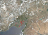 Fires in Turkey's Adana Region