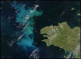 Phytoplankton Bloom off France and UK