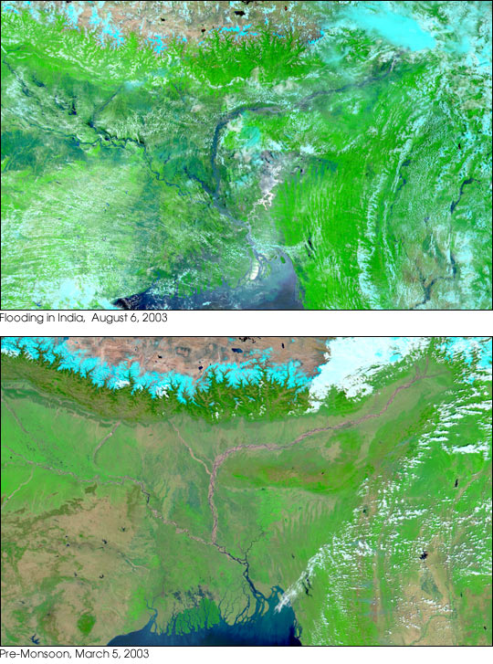 Floods in India and Bangladesh