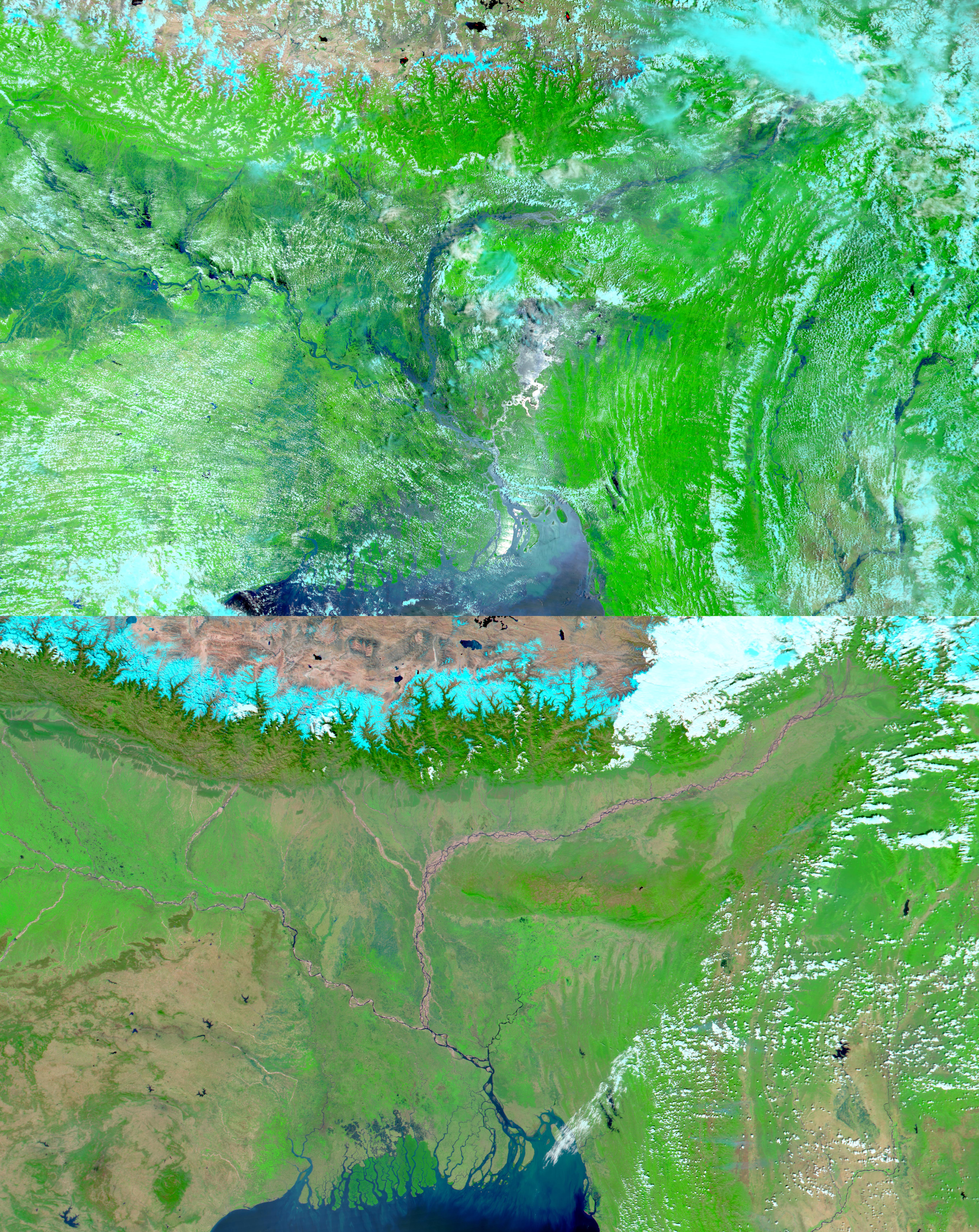 Floods in India and Bangladesh - related image preview