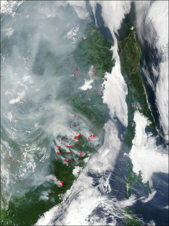 Forest Fires in Eastern Russia