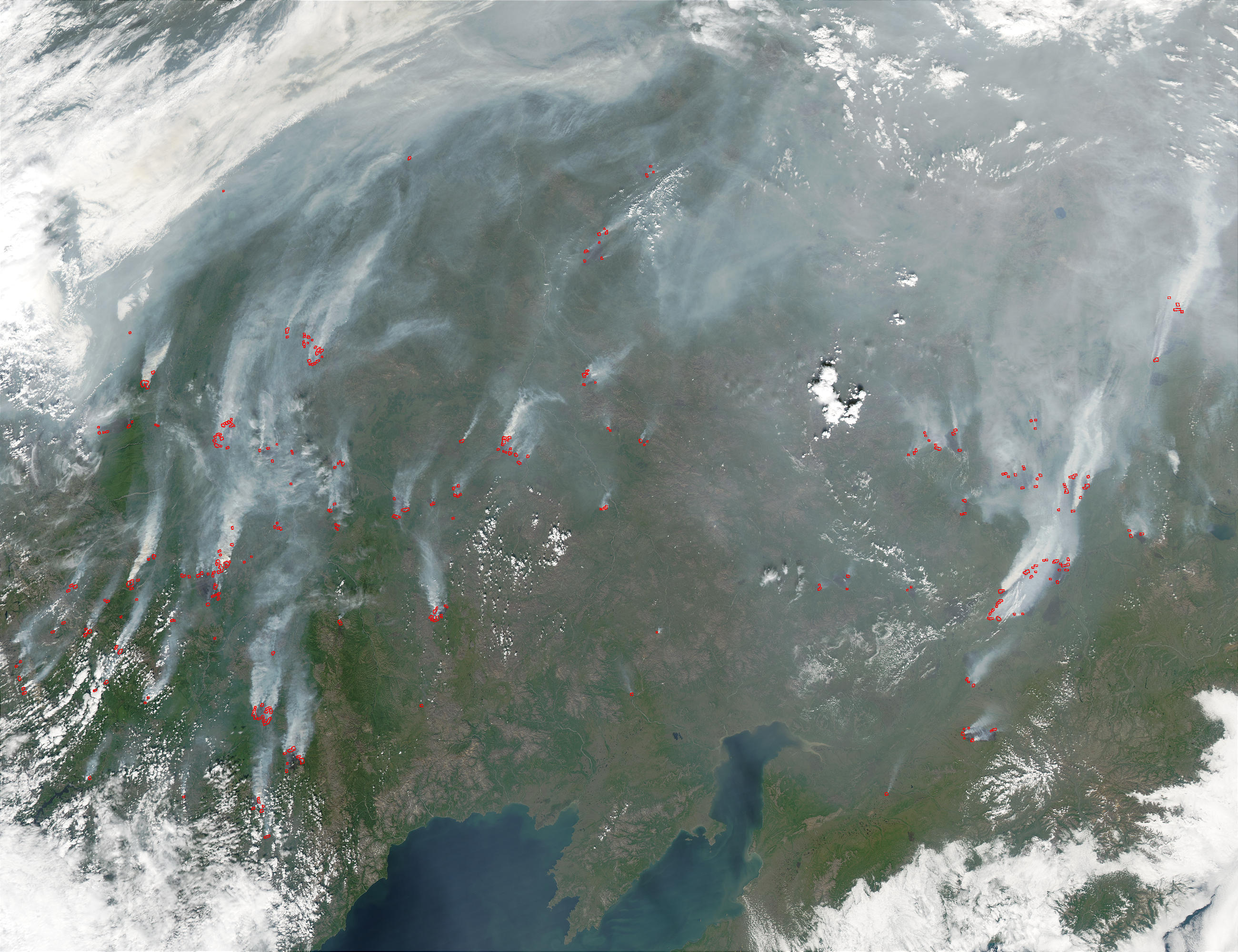 fires-in-siberia